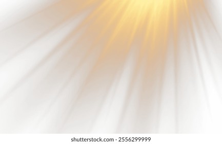 Vector transparent sunlight with special lens flare effect. Dawn, sunset, sun png. Flash of light, light effect. png.