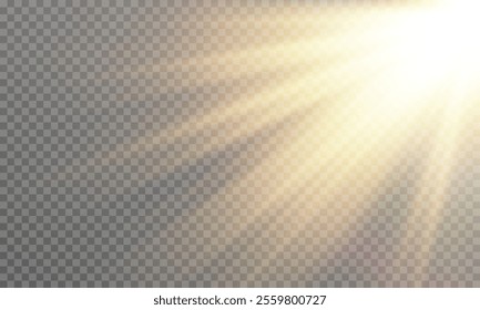 Vector transparent sunlight with special lens flare effect , vector graphics , solar flare. PNG