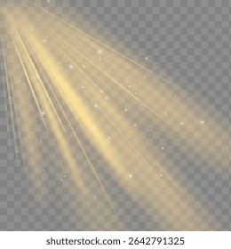 Image vectorielle lumière du soleil transparent effet de lumière flash de lentille spéciale