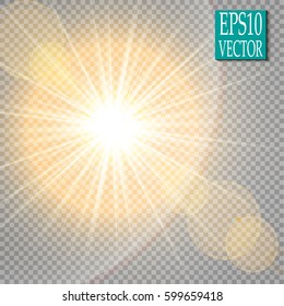 Vector transparent sunlight special lens flare light effect. Sun flash
