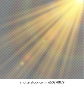 Vector transparent sunlight special lens flare light effect.