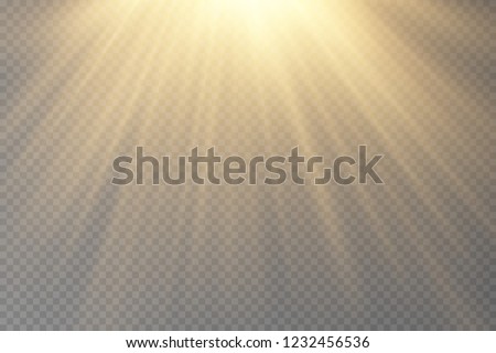 Vector transparent sunlight special lens flare light effect.