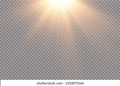 Vector transparent sunlight.Vector scene illuminated by spotlight . Light effect on transparent background

