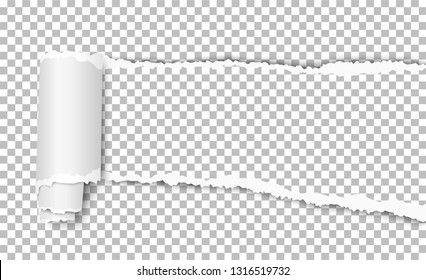 Vector transparent torn wisp of paper with curl and shadow