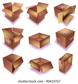 vector transportation box with snowflake shape