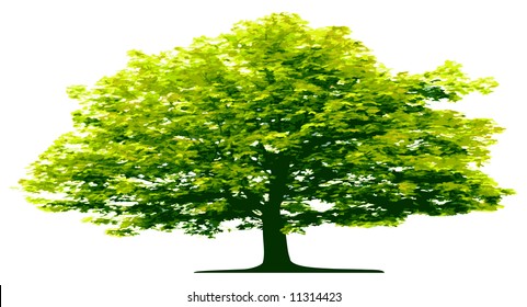 Vector tree