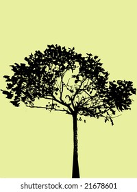 vector tree