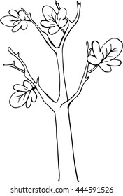 Vector tree