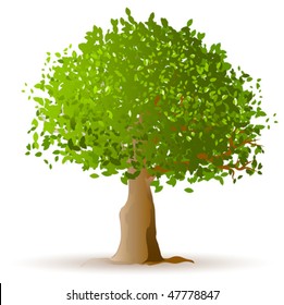 vector tree