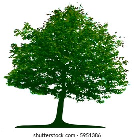 Vector tree