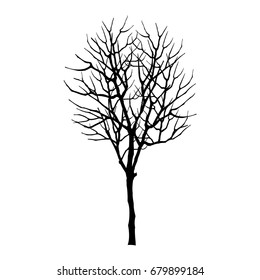 vector of tree.