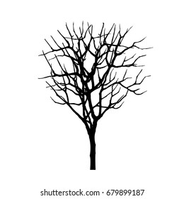 vector of tree.