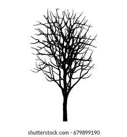 vector of tree.