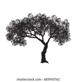 vector of tree.