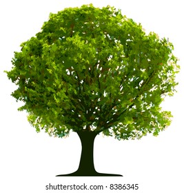 Vector tree