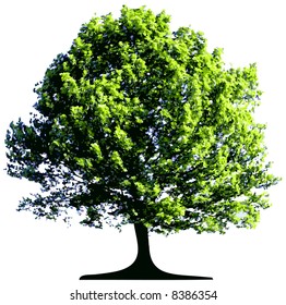 Vector tree