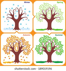 Vector tree in 4 seasons: winter, spring, summer and autumn