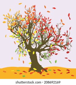 vector a tree in autumn