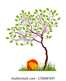 vector tree and ball in grass isolated on white background