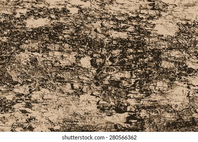 Vector, Tree bark texture