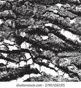 Vector Tree Bark Texture Background
