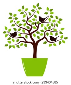 vector tree with birds in pot isolated on white background