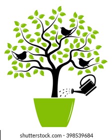 vector tree with birds in pot and watering can isolated on white background