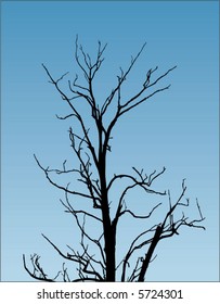 vector tree branch