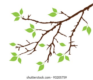 vector tree branch with green leaves