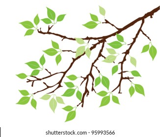 vector tree branch with green leaves