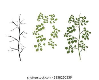 vector tree, branch, leaves, silhouette