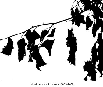 Vector of a tree branch silhouette