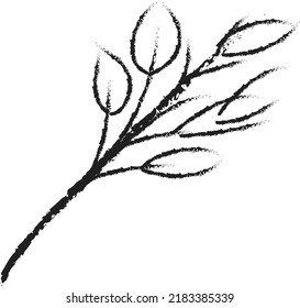 Vector tree branch silhouettes with leaves in black for graphic design