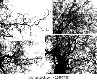 vector tree branches