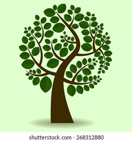 Vector of tree branches covered with dark green leaves in spring.