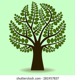 Vektorgrafik von Baumzweigen, bedeckt mit frischen grünen Blättern im Frühling.