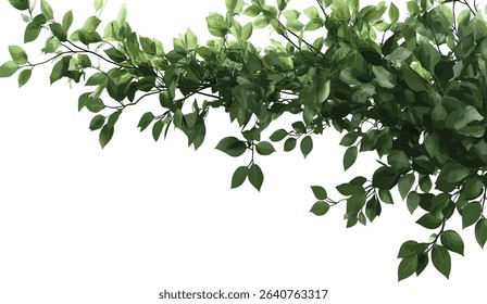 Vector tree branches, realistic greenery leaves isolate, botanical foliage, tree branches design, natural green leaves, isolated nature elements, realistic tree leaves, foliage illustration