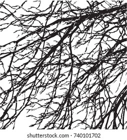 vector tree branches silhouette. black and White illustration.
