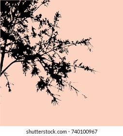 vector tree branches silhouette. illustration.