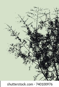 vector tree branches silhouette. illustration.