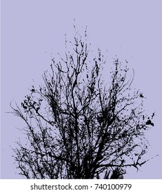 vector tree branches silhouette. illustration.