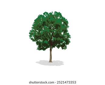 Vector Tree and Bushes Set Isolated on White Background
Vector Tree and Bushes Set Isolated on White Background for Nature Illustration and Design Elements