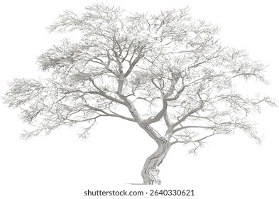 Vector tree, die cut white wooden tree, transparent background illustration, nature silhouette, isolated tree art, forest element, minimalist tree design, eco friendly clipart,