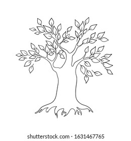 Live Tree Outline Curl Silhouette Icon Stock Vector (royalty Free 