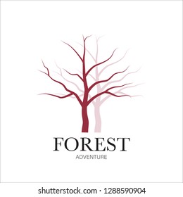 Vector tree, fir-tree, wood, oak. Set of logo design elements, badges, labels and logotype templates for your business