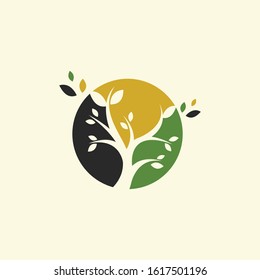 Vector tree, fir-tree, wood, oak.  badges, labels and logotype templates for your business