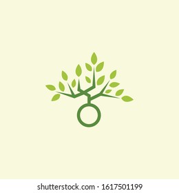 Vector tree, fir-tree, wood, oak.  badges, labels and logotype templates for your business