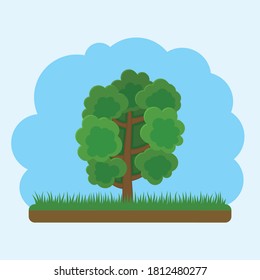 Vector tree in flat style for street design