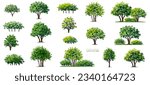 Vector of tree with flower grass or blooming shrub isolated on white background ,watercolor tree elevation for landscape concept,environment panorama scene,eco design,meadow for spring