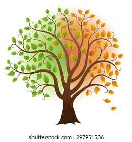 Vector tree with green and yellow leaves from summer to autumn
